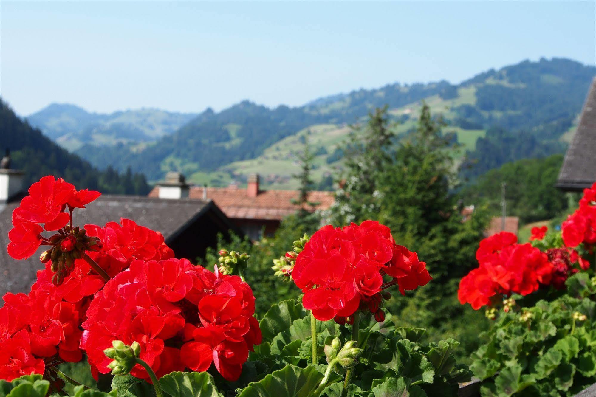 Hotel Simmental Boltigen Exterior foto